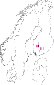 Fyndkarta för Leucophenga quinquemaculata. Datakälla: GBIF