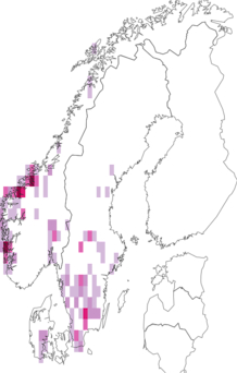 Fyndkarta för lila vaxskivling. Datakälla: GBIF