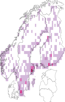 Kaarta Cheilosia. Data source: GBIF