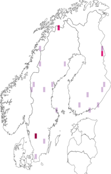 Fyndkarta för sumpörtblomfluga. Datakälla: GBIF