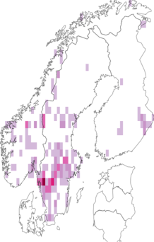 Levikukaart: Russula intermedia. Andmete allikas: GBIF
