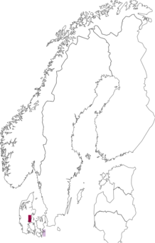 Fyndkarta för Hemimycena gypsella. Datakälla: GBIF