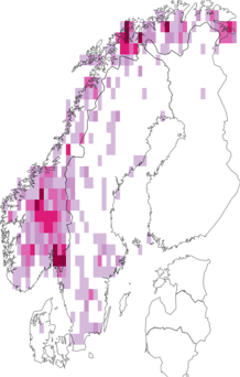 Fyndkarta för snömärkeslav. Datakälla: GBIF