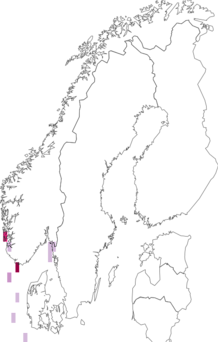 Kaarta Galathea strigosa. Data source: GBIF