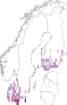 Fyndkarta för igelknoppsrörfly. Datakälla: GBIF