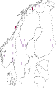 Fyndkarta för Russula aurantioflammans. Datakälla: GBIF