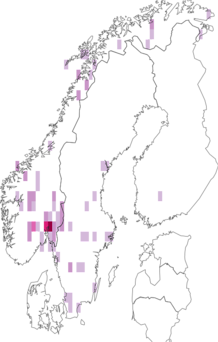 Fyndkarta för Eurogaster. Datakälla: GBIF