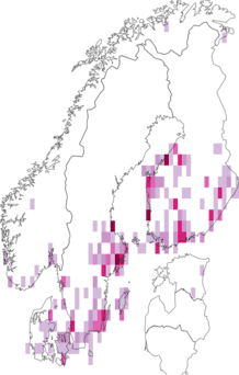 Fyndkarta för nätrörsäckspinnare. Datakälla: GBIF