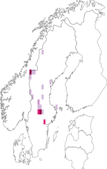 Fyndkarta för vit levermosslav. Datakälla: GBIF