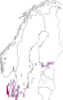 Fyndkarta för vittofsjordfly. Datakälla: GBIF