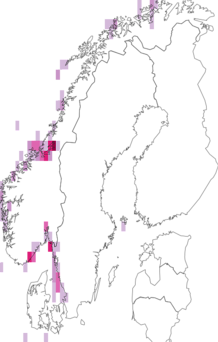 Kaarta Lamellariidae. Data source: GBIF
