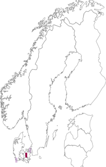 Fyndkarta för Hyaloscypha daedaleae. Datakälla: GBIF