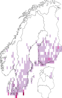 Fyndkarta för Euphyia. Datakälla: GBIF