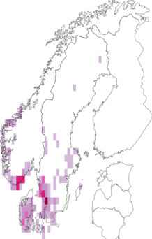 Fyndkarta för västlig rostticka. Datakälla: GBIF