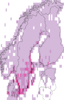 Kaarta Sternidae. Data source: GBIF