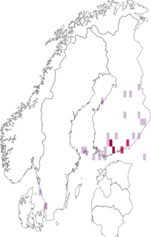 Fyndkarta för Thereva inornata. Datakälla: GBIF