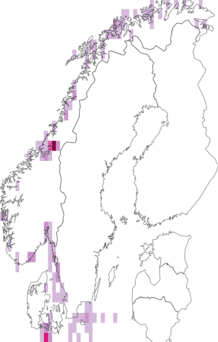 Fyndkarta för stor östersjömussla. Datakälla: GBIF