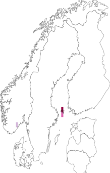 Kaarta Coleophora badiipennella. Data source: GBIF