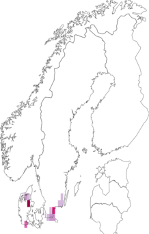 Fyndkarta för krattsnabbvinge. Datakälla: GBIF