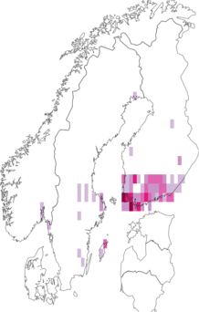 Fyndkarta för tallskogstubmal. Datakälla: GBIF