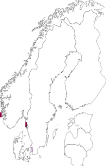 Fyndkarta för håbrandshajar. Datakälla: GBIF