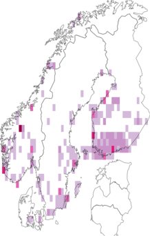 Fyndkarta för utbredd gråvecklare. Datakälla: GBIF