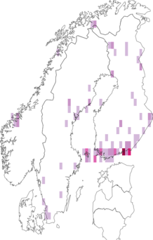 Fyndkarta för Chamaepsila. Datakälla: GBIF
