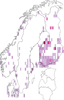 Fyndkarta för trekantig blåbärsvårvecklare. Datakälla: GBIF