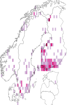 Fyndkarta för klargul barrskogspraktmal. Datakälla: GBIF