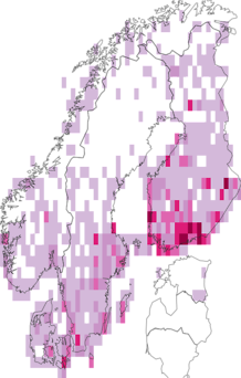 Fyndkarta för Eupithecia. Datakälla: GBIF