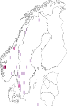 Fyndkarta för Caloplaca arenaria. Datakälla: GBIF