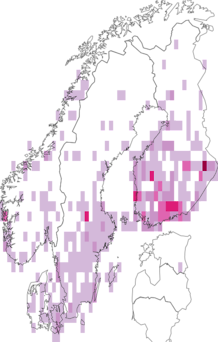 Kaarta Macaria wauaria. Data source: GBIF