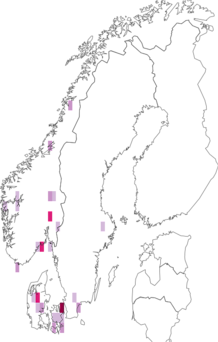 Fyndkarta för Tubeufiaceae. Datakälla: GBIF