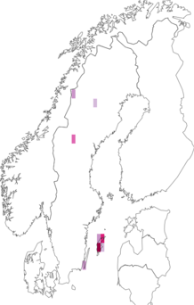 Fyndkarta för rödskalig bärnstenssnäcka. Datakälla: GBIF