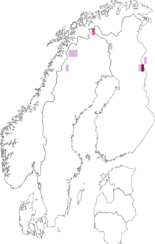 Fyndkarta för nordlig praktmossa. Datakälla: GBIF