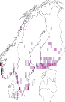 Fyndkarta för jordgubbsvecklare. Datakälla: GBIF