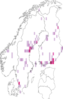 Fyndkarta för Lauxania cylindricornis. Datakälla: GBIF