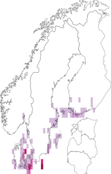Fyndkarta för Sitochroa. Datakälla: GBIF