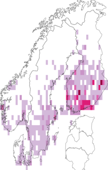 Fyndkarta för violettpudrad skymningsmätare. Datakälla: GBIF