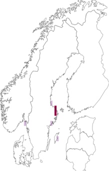 Fyndkarta för svartvit backglimmal. Datakälla: GBIF