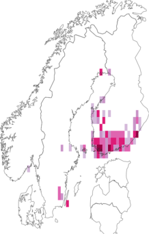 Fyndkarta för svart rallarroskorthuvudmal. Datakälla: GBIF