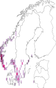Kaarta Cladonia polydactyla. Data source: GBIF
