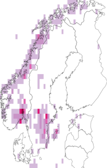 Fyndkarta för purpurknipprot. Datakälla: GBIF