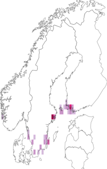 Fyndkarta för gulkragad ekdvärgmal. Datakälla: GBIF