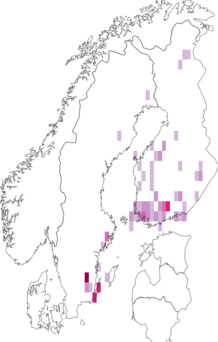 Fyndkarta för småbjörksdvärgmal. Datakälla: GBIF