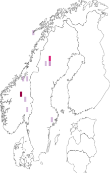Fyndkarta för Apatania muliebris. Datakälla: GBIF