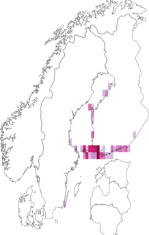 Fyndkarta för salttågsäckmal. Datakälla: GBIF