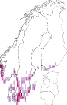 Fyndkarta för brunviolett bandfly. Datakälla: GBIF