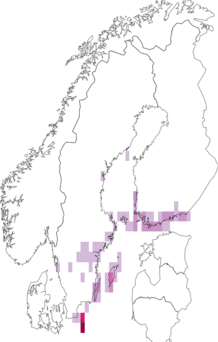 Fyndkarta för svenskt stamfly. Datakälla: GBIF