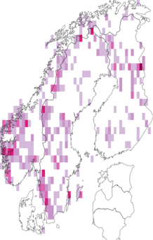 Fyndkarta för Seligeriaceae. Datakälla: GBIF